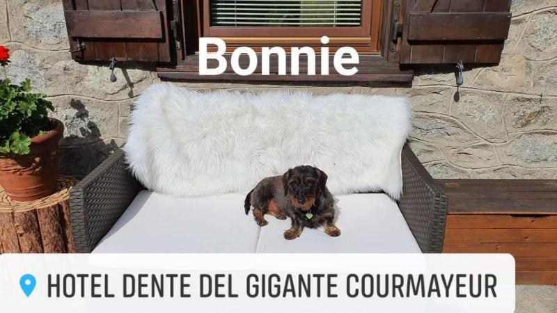 Hotel Dente Del Gigante Курмайор Екстериор снимка